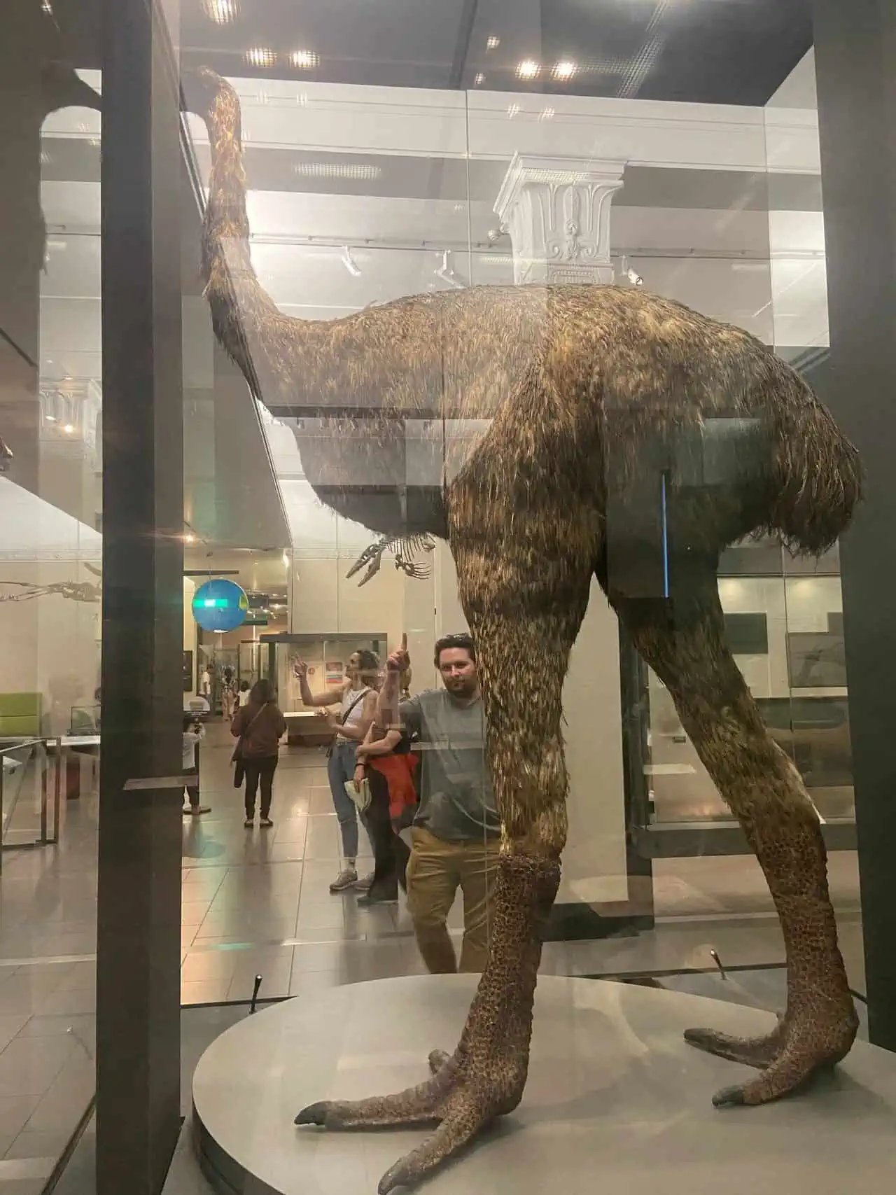 Colin pointing at a Moa at the Auckland War Memorial Museum