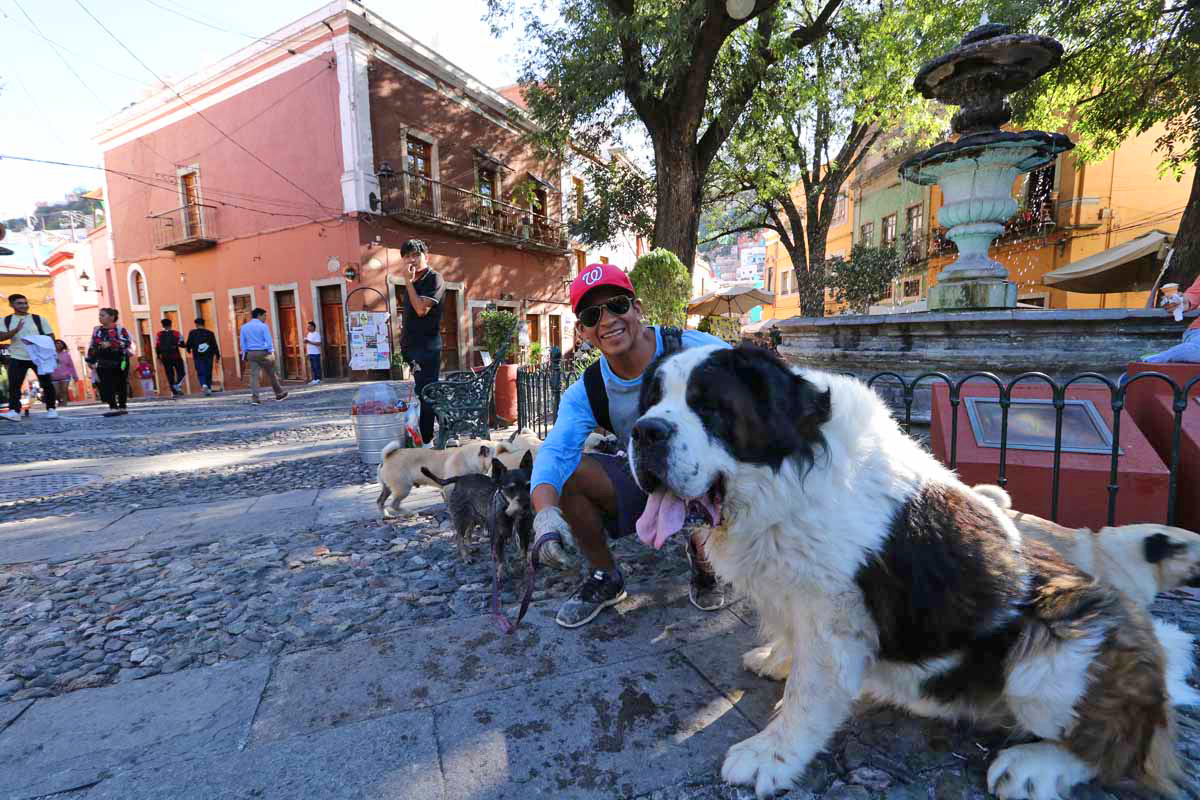 What’s happened to Guanajuato?