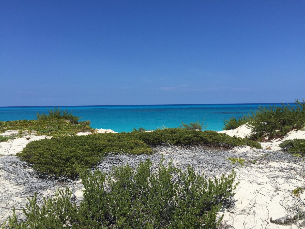 A beautiful, empty beach on Salt Cay