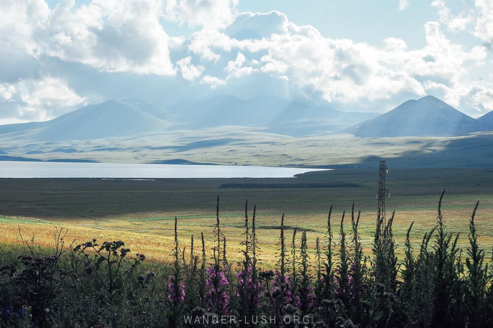 A mountain landscape with Paravani Lake and purple wildflowers in Samtskhe-Javakheti, Georgia.