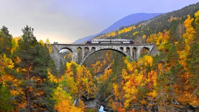 2024 Trending Train Travel Aboard Norway's Breathtaking Scenic Railways