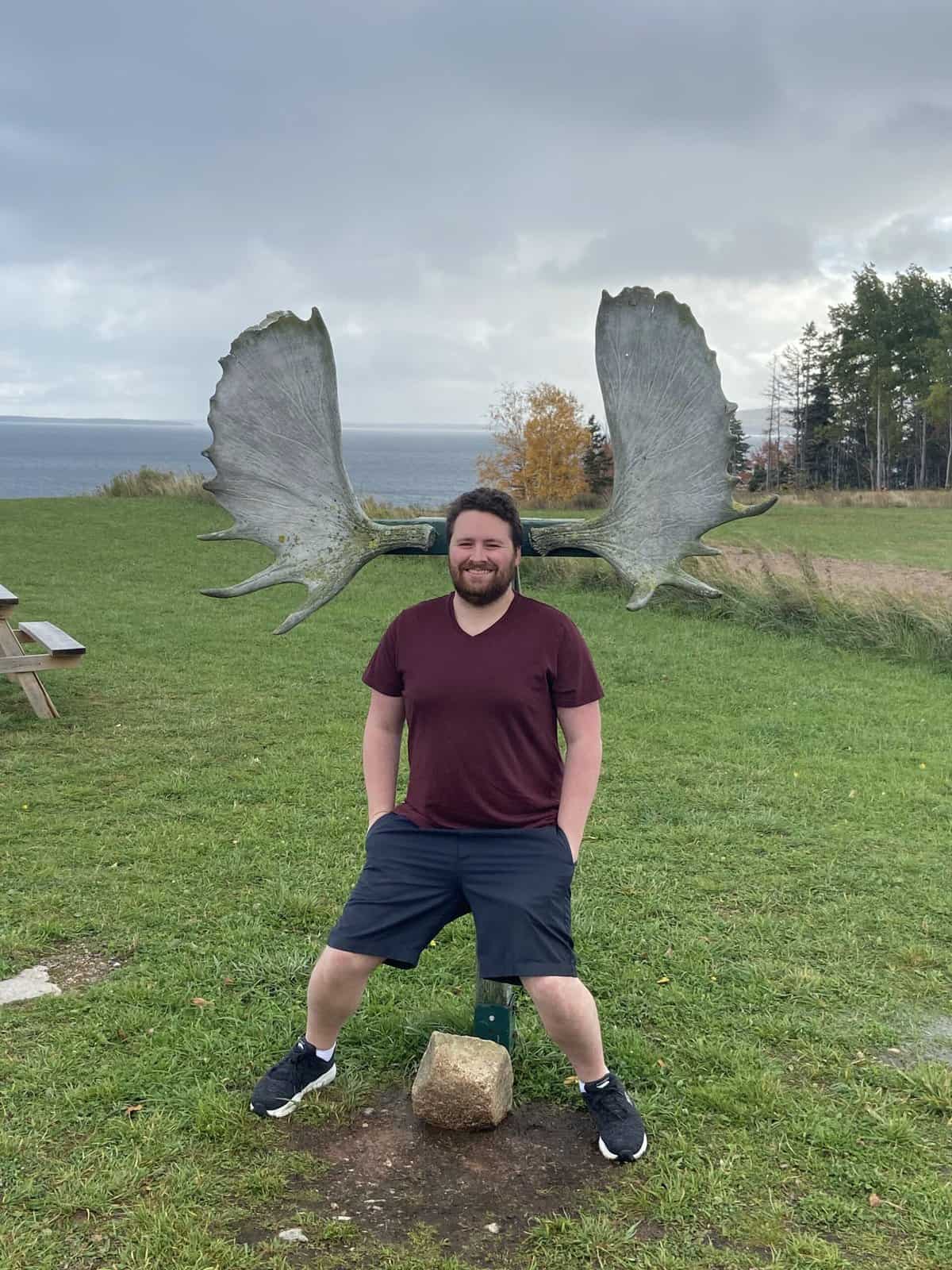 Moose ears along the Cabot Trail on Cape Breton Island, Nova Scotia