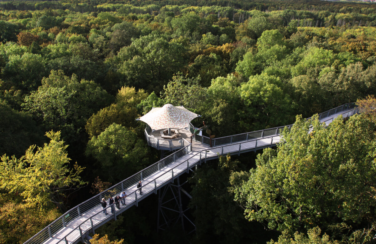 Arial view of Hainich National Park in Germany