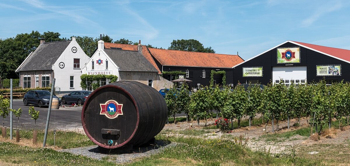 Wijnhoeve De Kleine Schorre in Netherlands