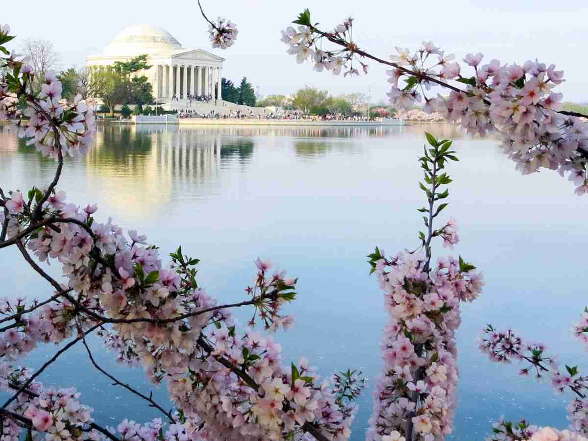 Jefferson Memorial Washington DC