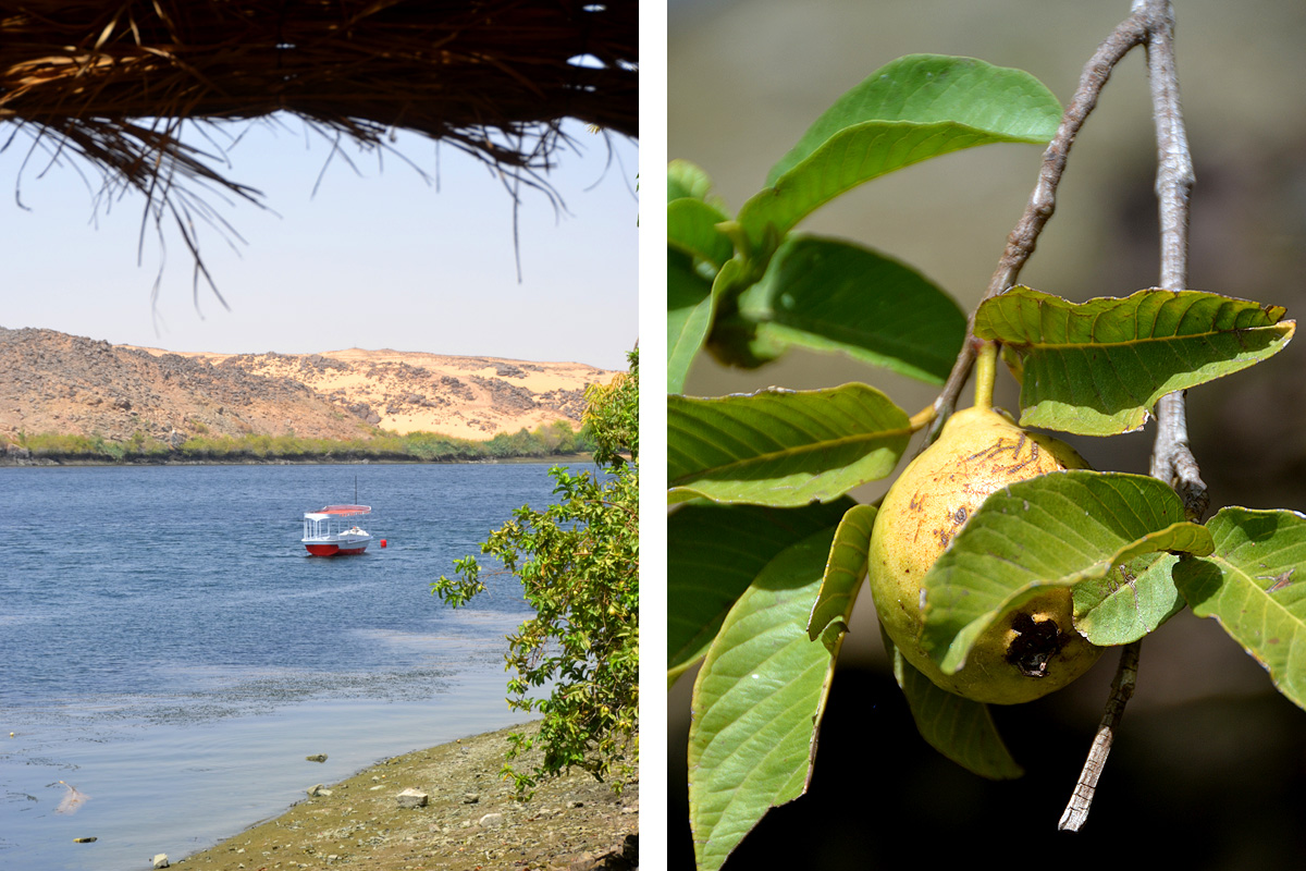 heissa island aswan 