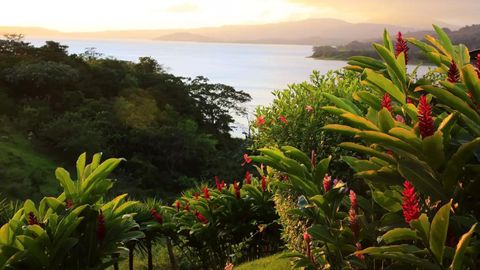 Costa Rica Named The Best Place To Retire In 2024