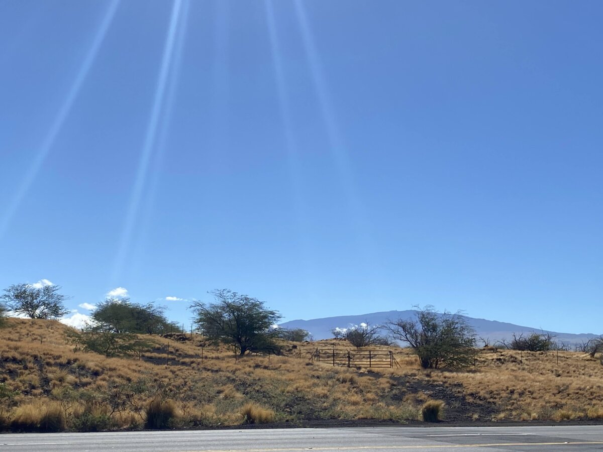 Dry grass and tress with the mountains in the background along Queen Ka'ahumanu Highway.