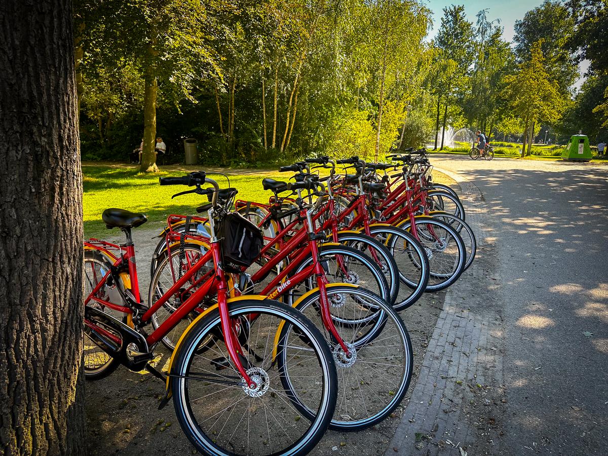 Red rental bikes ready for tours in sunny Vondelpark, Amsterdam