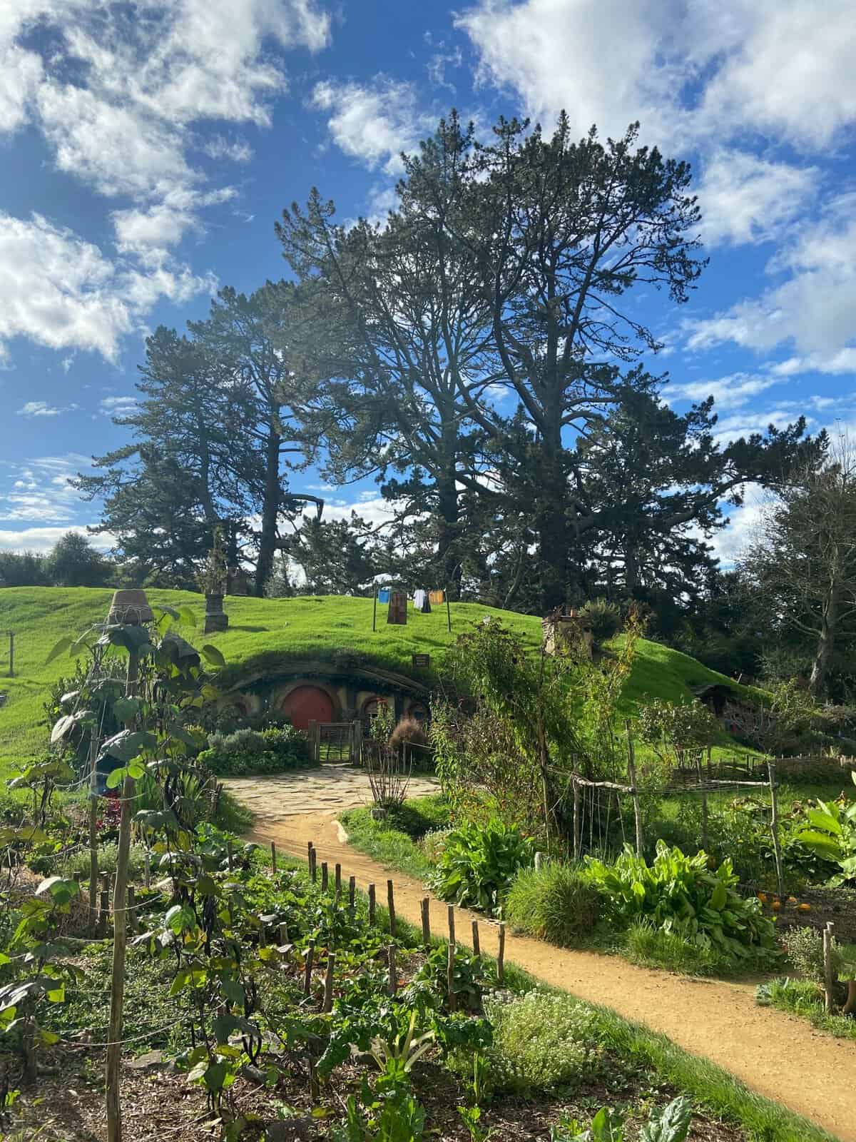 Movie set tour of Hobbiton village in New Zealand