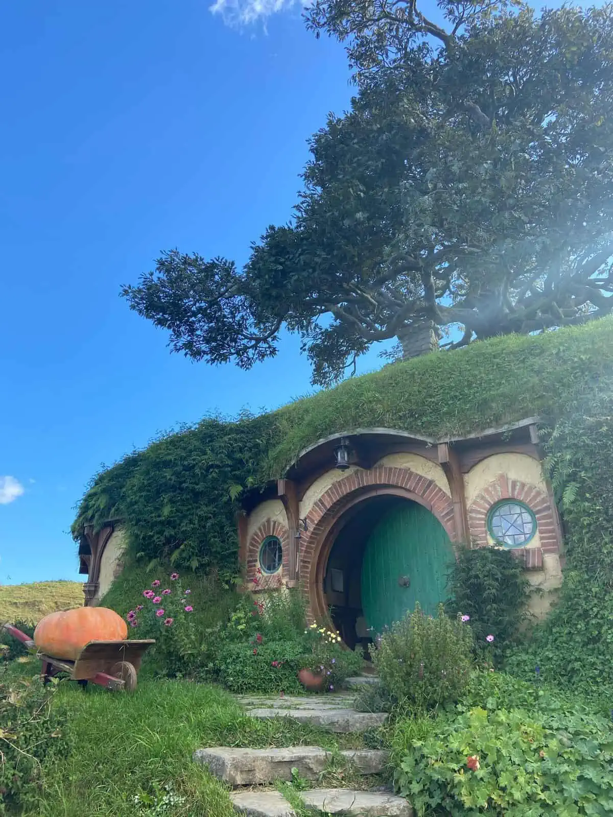 The tree on top of Bag End, Bilbo and Frodo's home in Hobbiton, Shire, New Zealand