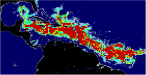 New Record-Size Sargassum Threatens To Invade Florida And The Caribbean Soon