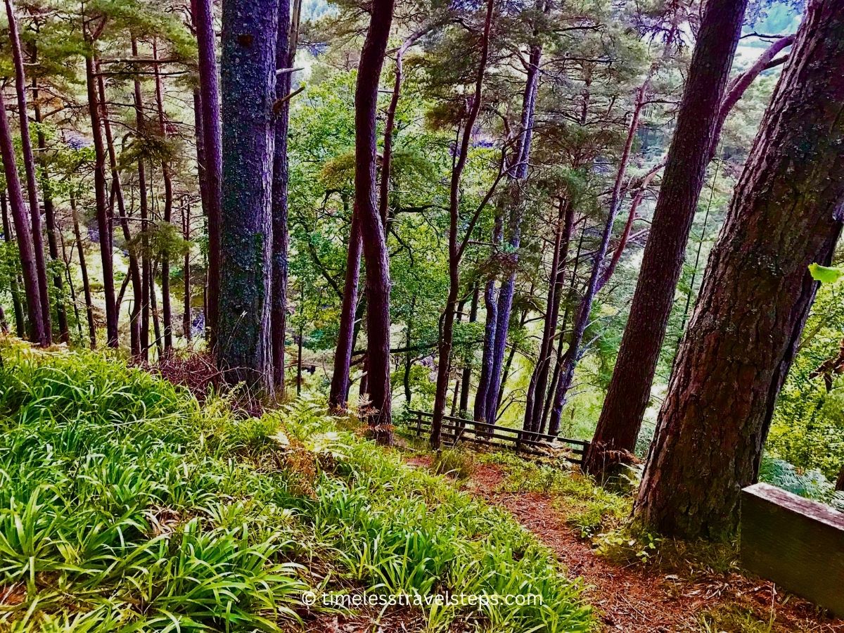 Falls of Foyers walk - some parts are a little steep than others