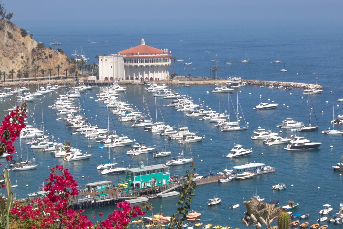 Overlooking boats in the bay of Catalina Island