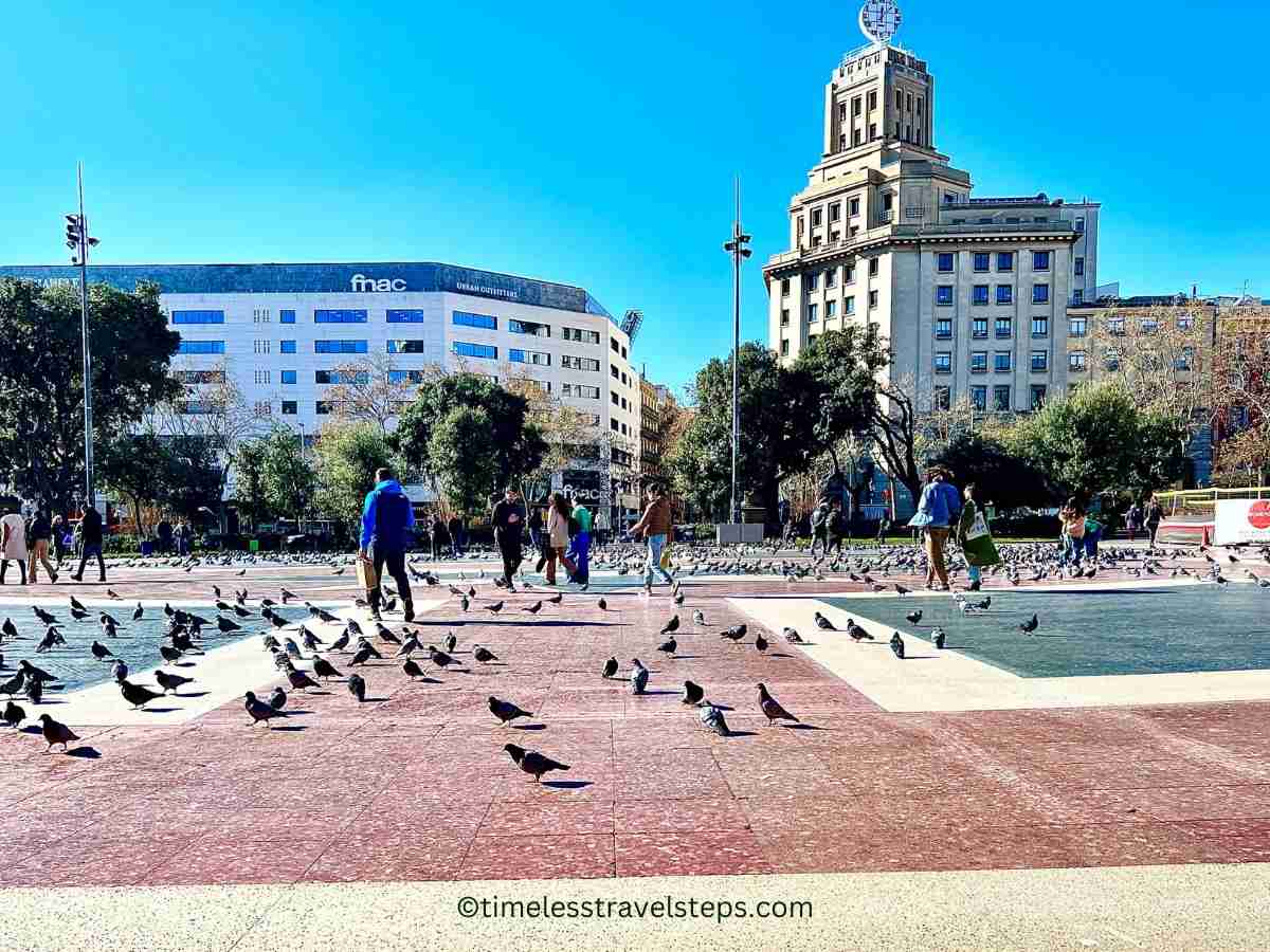 placa de catalunya - pigeons on the square, people walking across on a sunny winter day