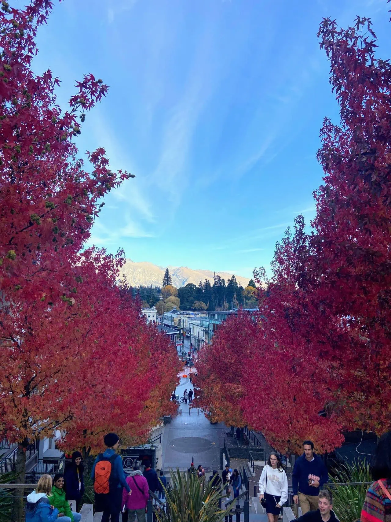 red fall foliage in Queenstown, New Zealand