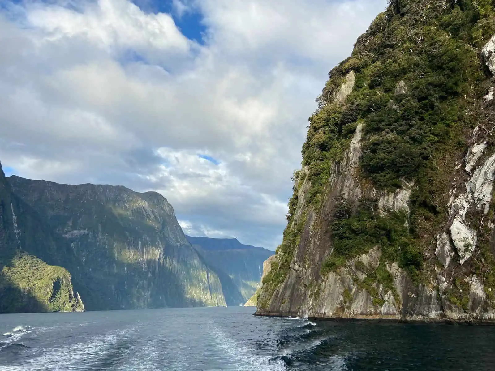 Milford Sound cruise experience in New Zealand