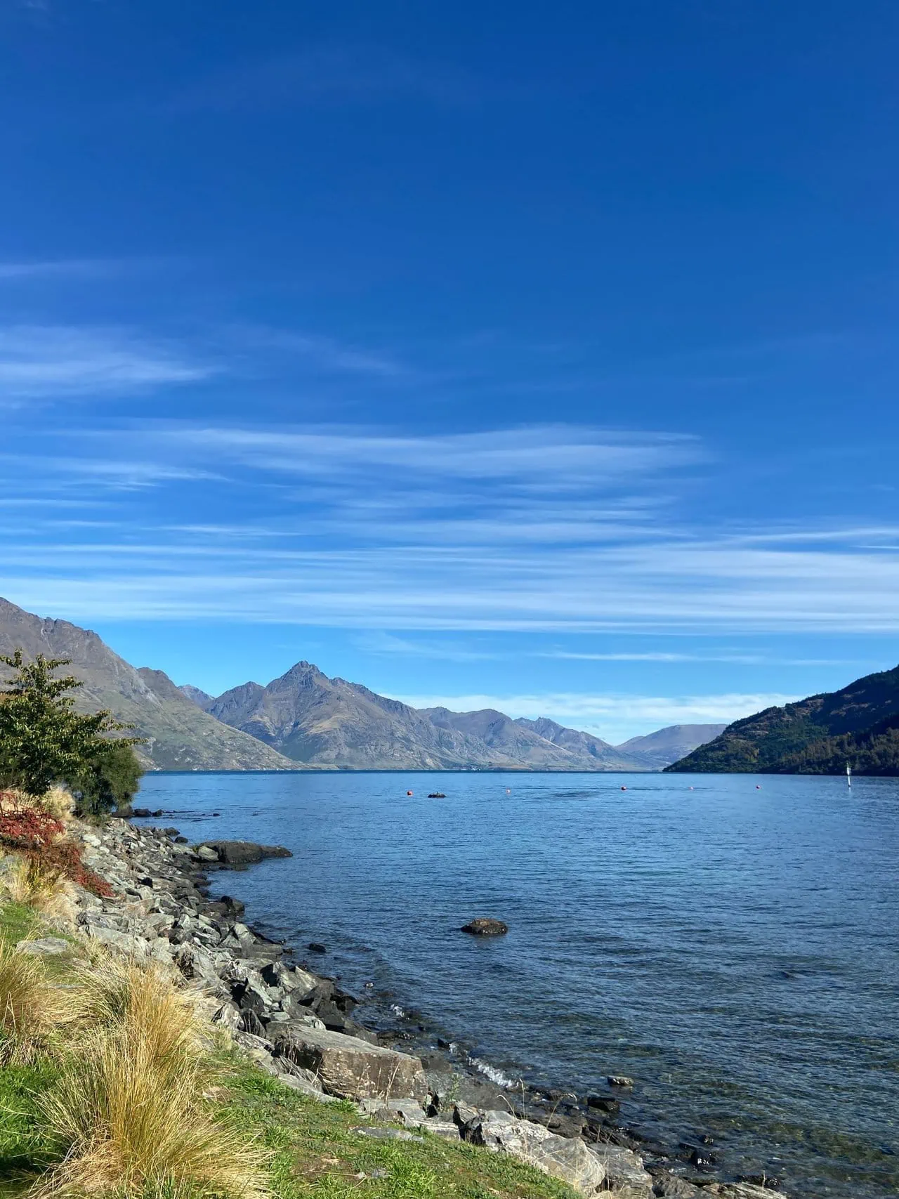 Lake Wakatipu shore in Queenstown, NZ