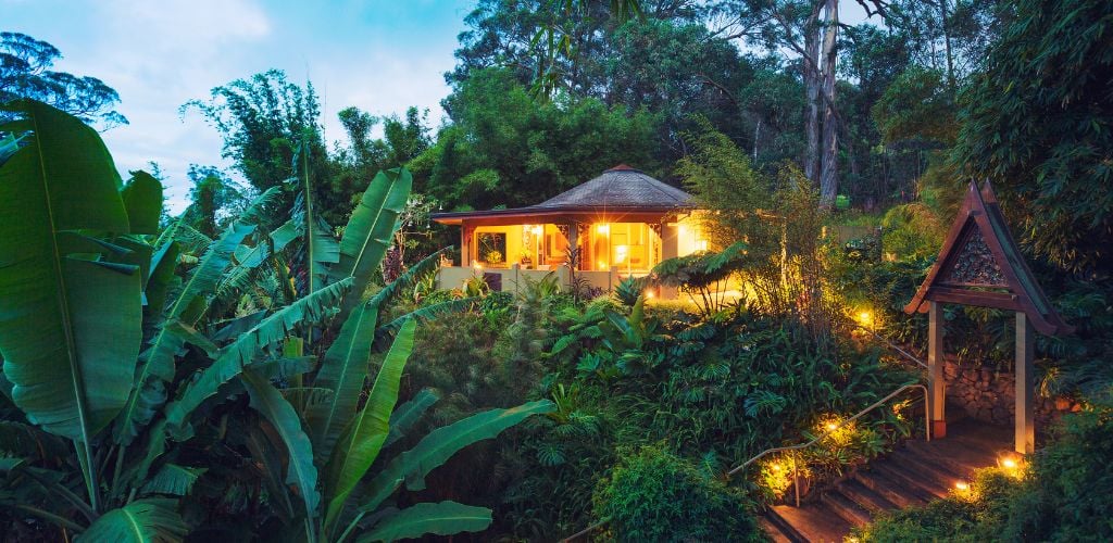 Tropical Home in the Jungle at Sunset