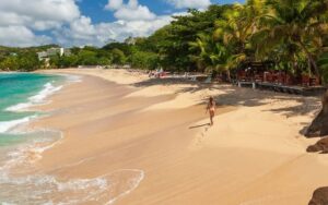 8 Safest Islands In The Caribbean In 2024, According to U.S. Travel Advisories