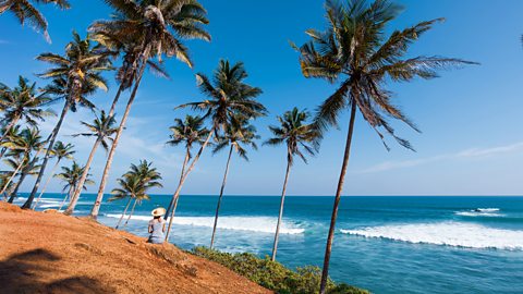 Stefan Tomic/Getty Images Hordes of tourists head to Coconut Tree Hill to get the perfect Instagram shot (Credit: Stefan Tomic/Getty Images)