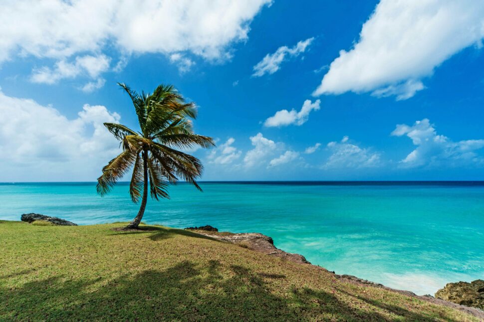 Barbados Beach 