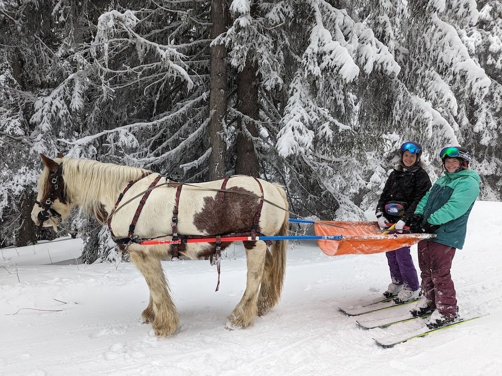 a couple of people stand near a horse