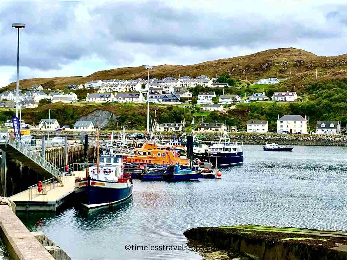 the pretty seaside town of Mallaig: white-washed houses on the hillside; fishing boats docked at the harbour, calm waters and gray skies