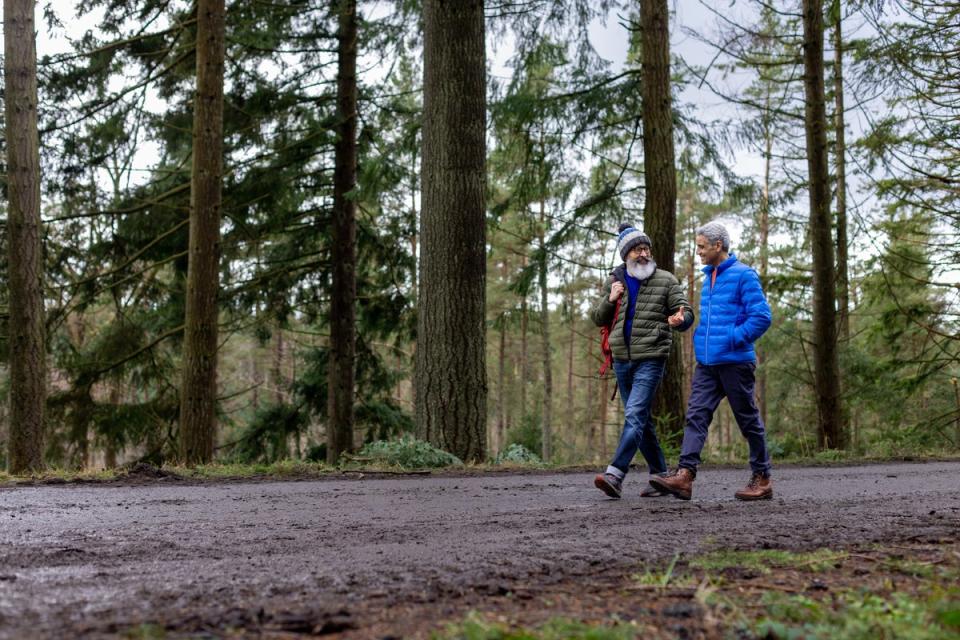 Rack up your steps for less with HF Holidays (Getty Images)