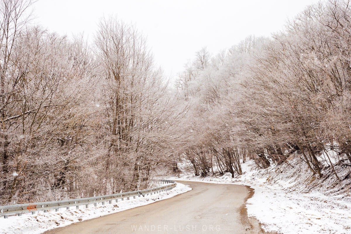 A road curls its way between trees in Sabaduri Forest covered with icicles as fresh snow falls.