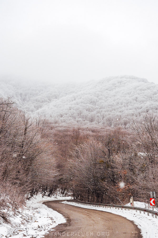 Snowy mountains and pink-tinged trees on the road into Sabaduri Forest in Tbilisi.