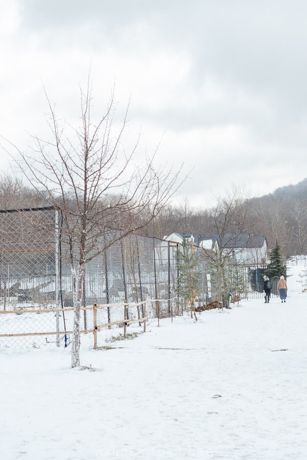 Long chain fences at the Zoological Center near Tbiliis.