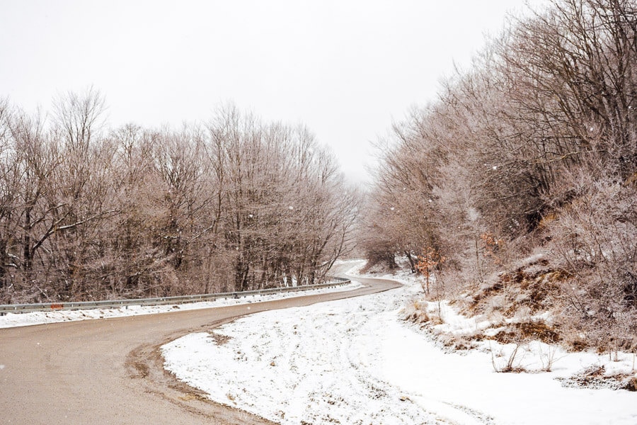 A brown road curls through Sabaduri Forest near Tbilisi, with fresh powder snow on the roadside.