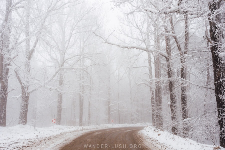 A road in Sabaduri Forest gains elevation, with trees visible through the thick winter fog.