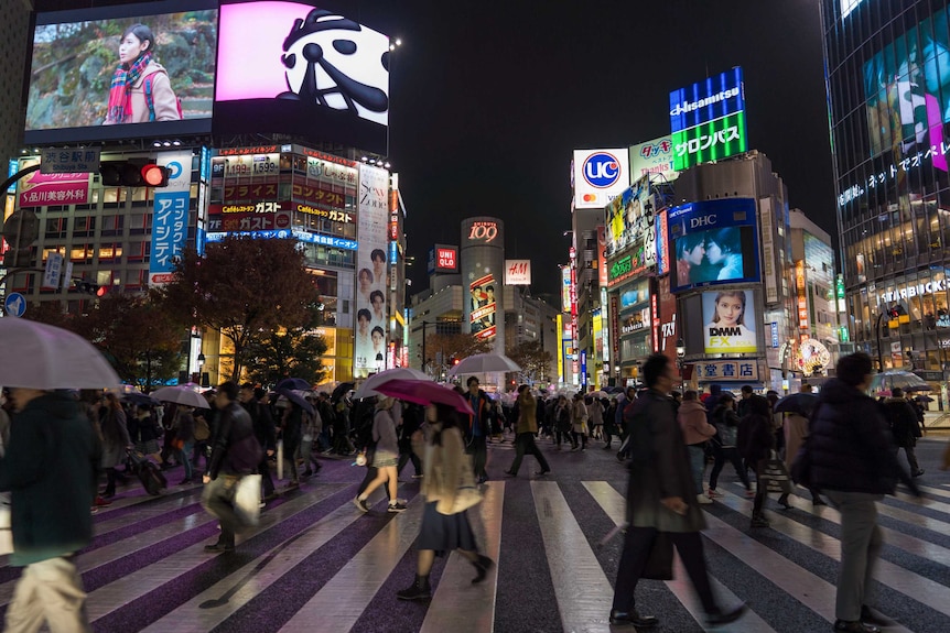 People cross Japan's Shibuya crossing, with a number sporting umbrellas, as night sets in. Advertisements adorn buildings.