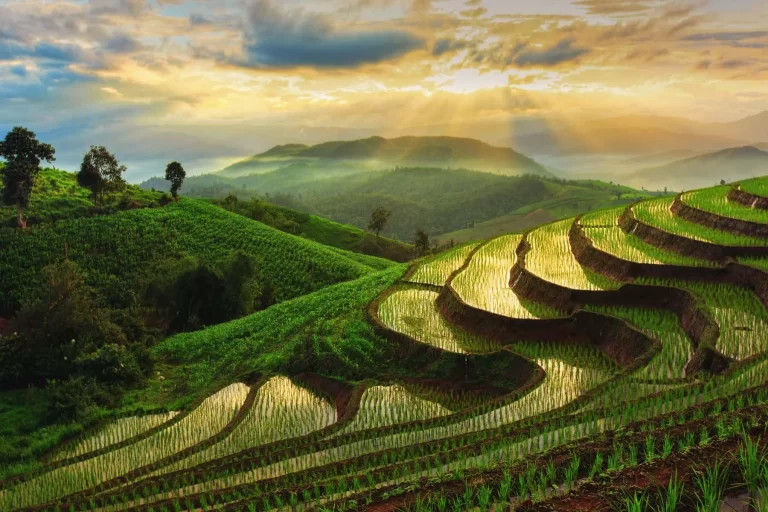The best expat destinations in Southeast Asia
