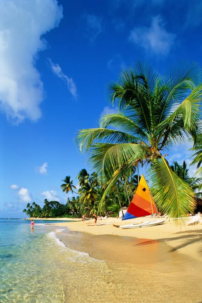 Mullins Bay beach in Barbados — Getty Images