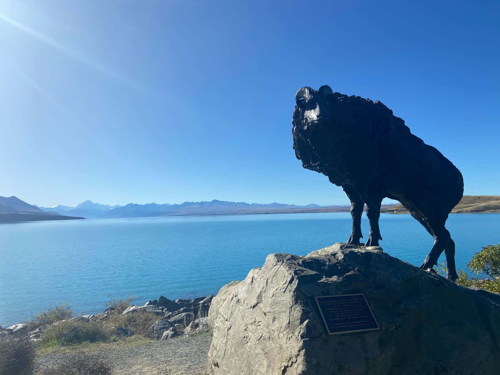 view of Lake Pukaki and The Tahr Statue in New Zealand on the way to Aoraki Mt Cook