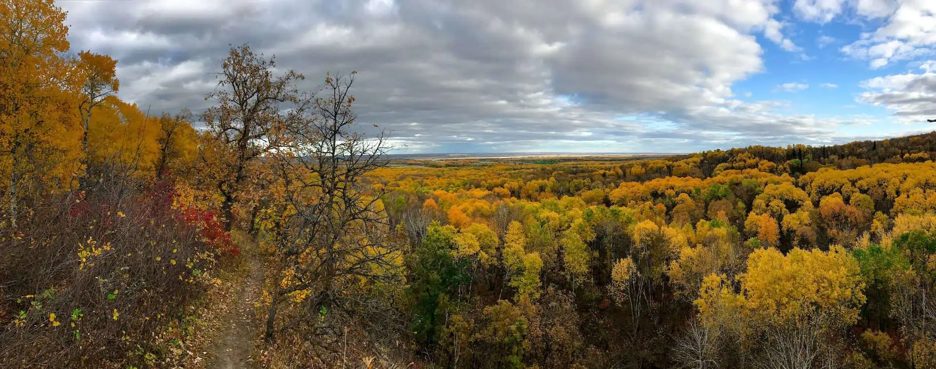 Fall foliage and trees at Riding Mountain National Park, MB, Canada