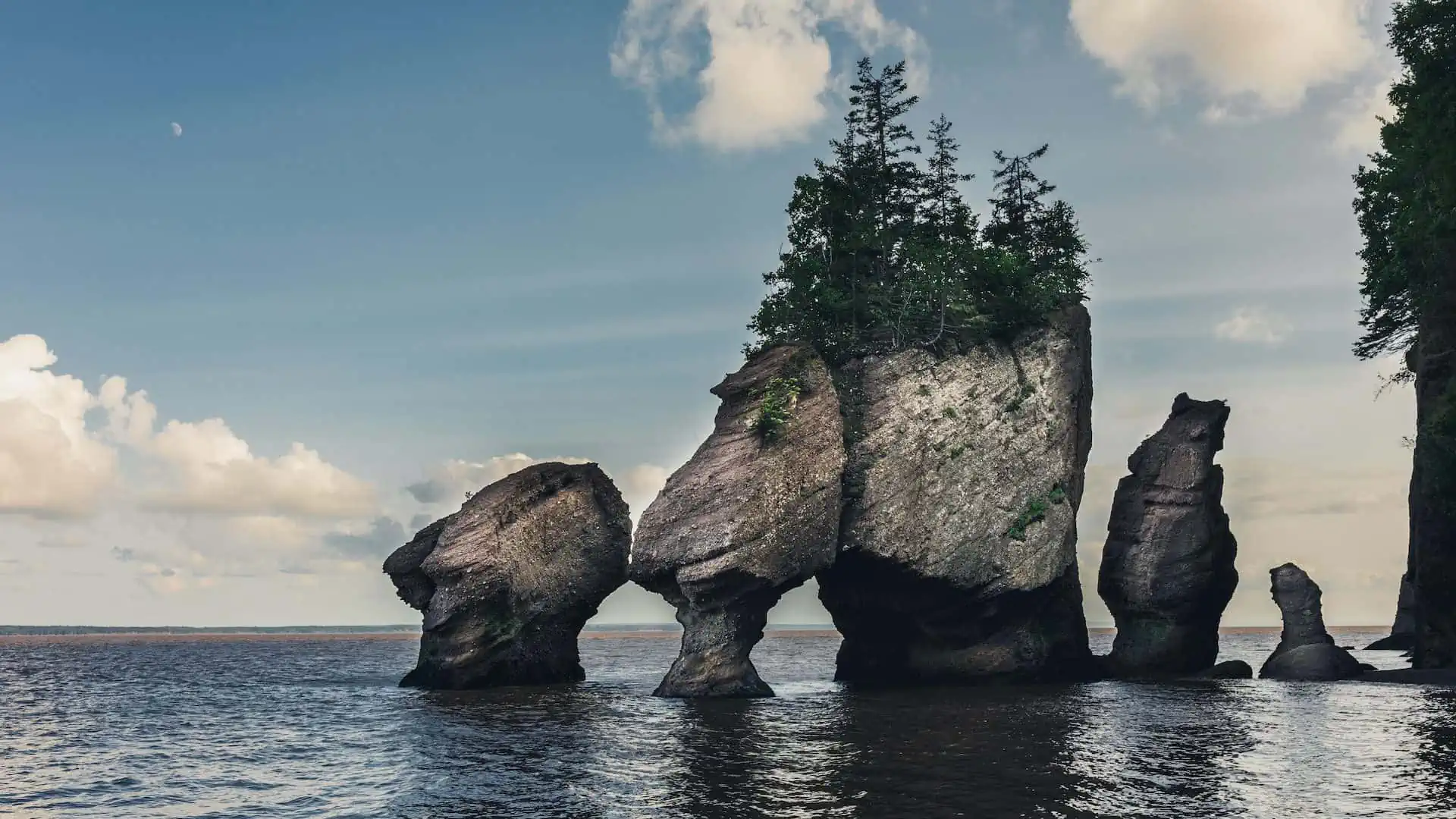 Bay of Fundy, Hopewell Rocks, Fundy National Park, New Brunswick
