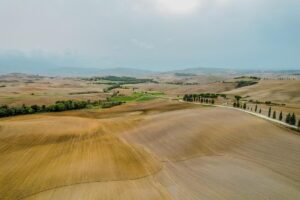 Tuscany Travel Guide: Things to Do & Travel Tips for 2024