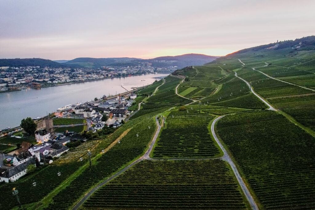 Sunset aerial view of Rheingau vineyards and river in Germany