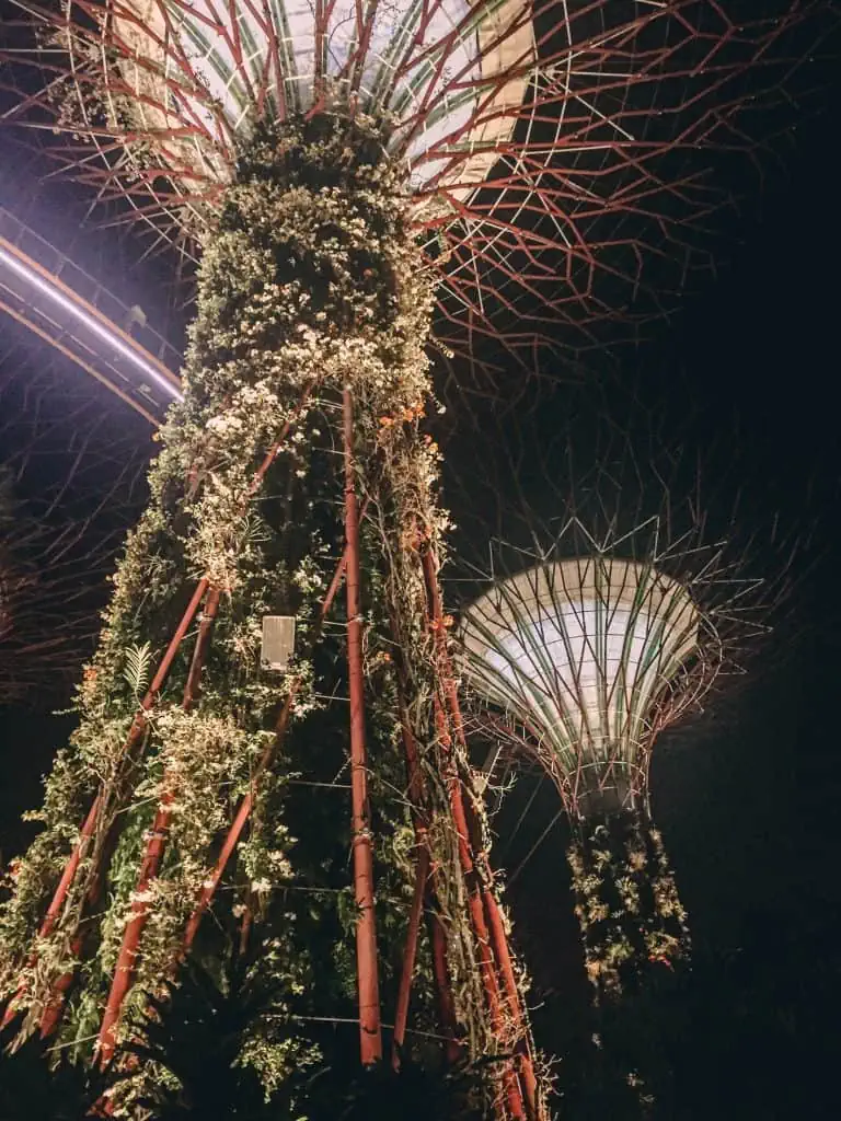 Two trees lit up during the Garden Rhapsody light show at Supertree Grove at Gardens by the Bay in Singapore