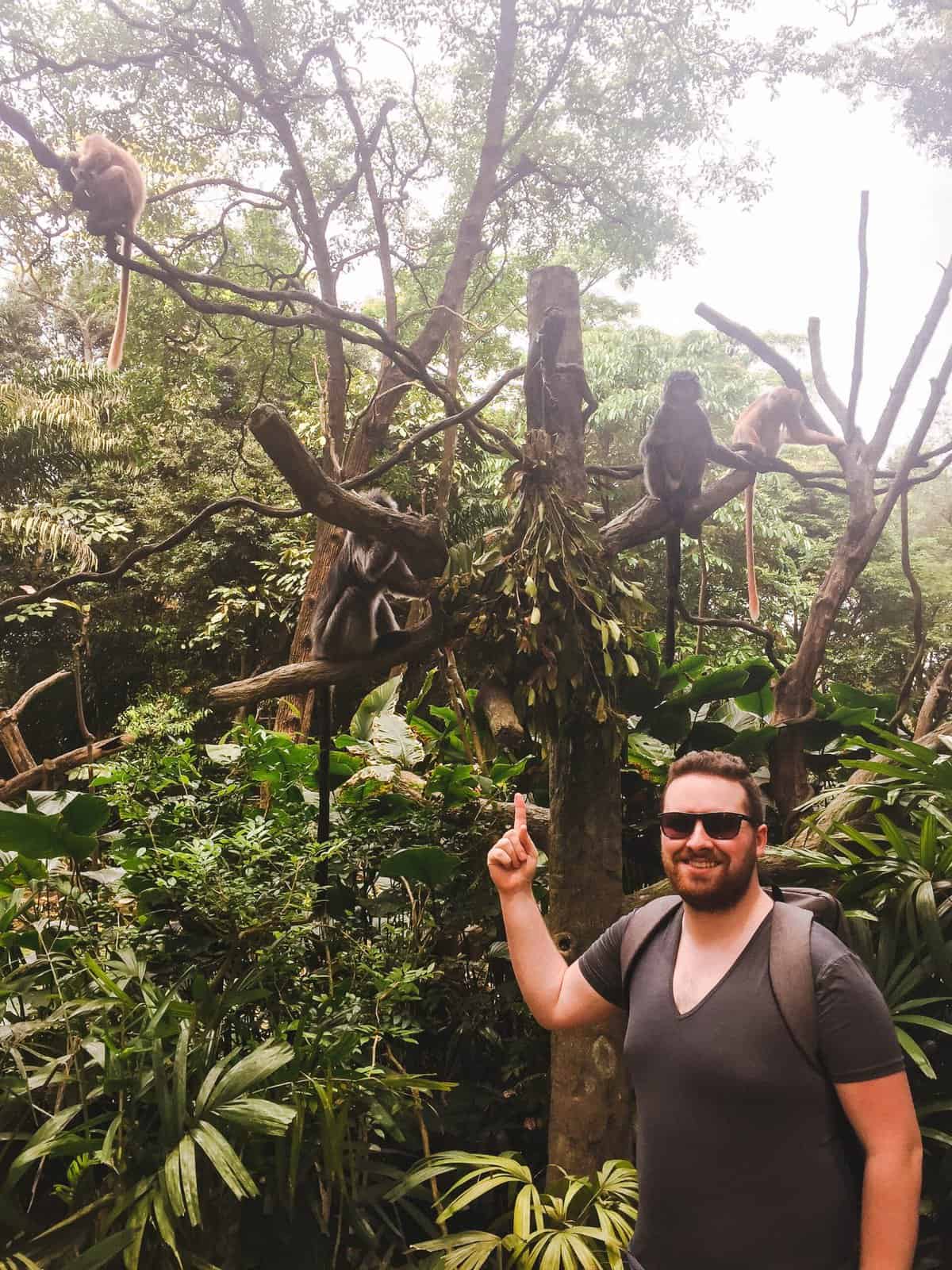 Colin pointing to monkeys on a tree at the Singapore Zoo