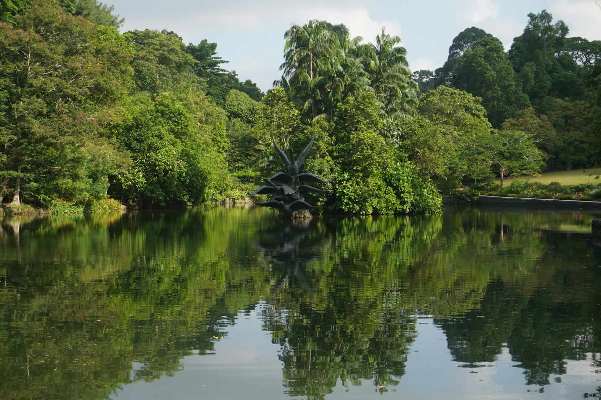 Greenery and a lake at the Singapore Botanic Gardens