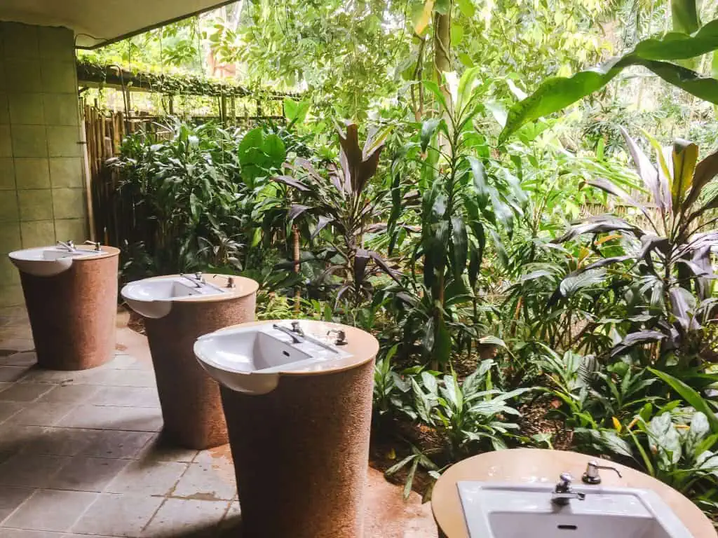 Bathroom at the Singapore Zoo with four sinks facing out to a lush rainforest