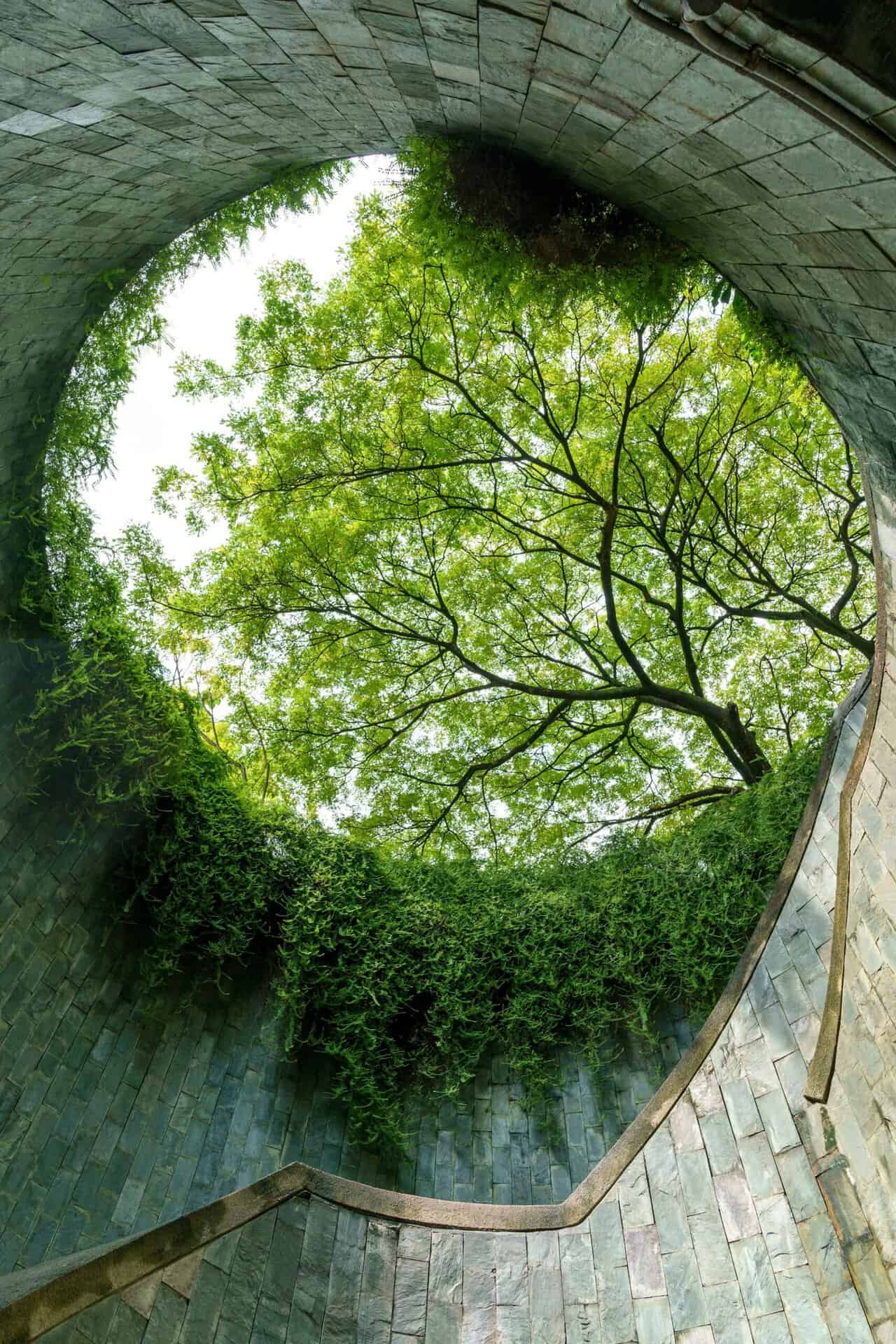 Underground tunnel at Fort Canning Park in Singapore