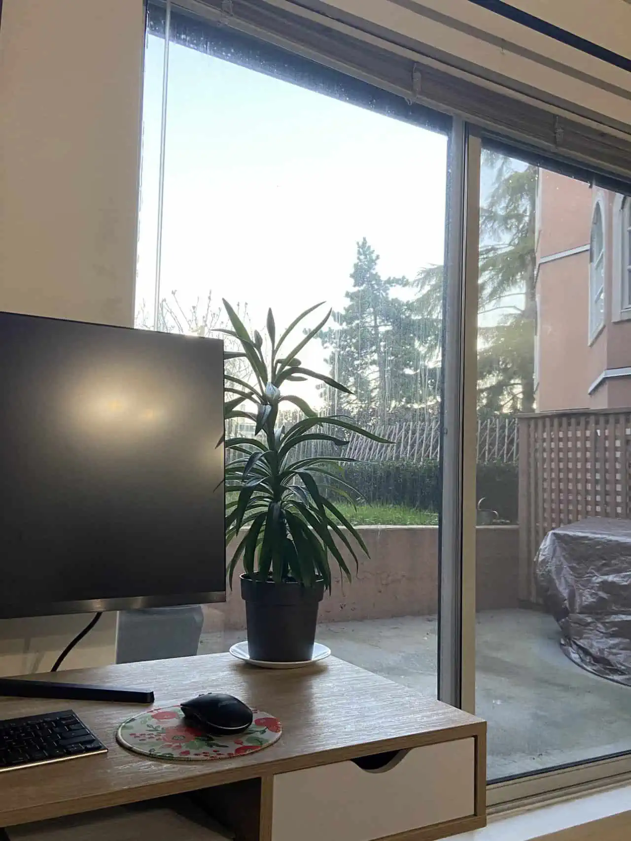 My current freelance office set up with my desk, large screen and lily plant looking out at the balcony