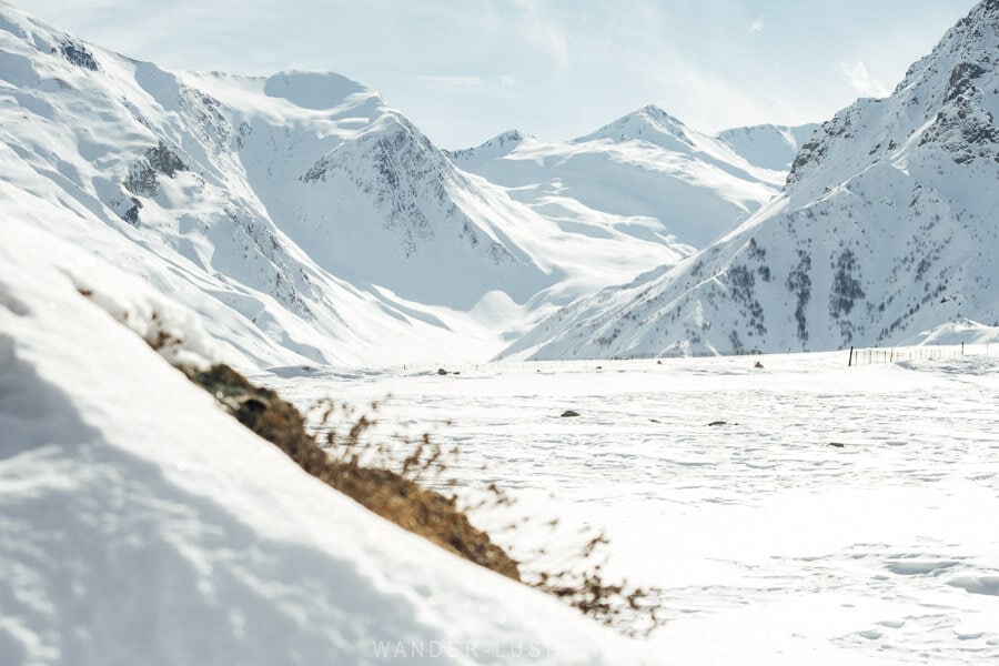 Sioni Valley, a snow-covered landscape of mountains with a sprig of spring foliage in the foreground in the Kazbegi area of Georgia.