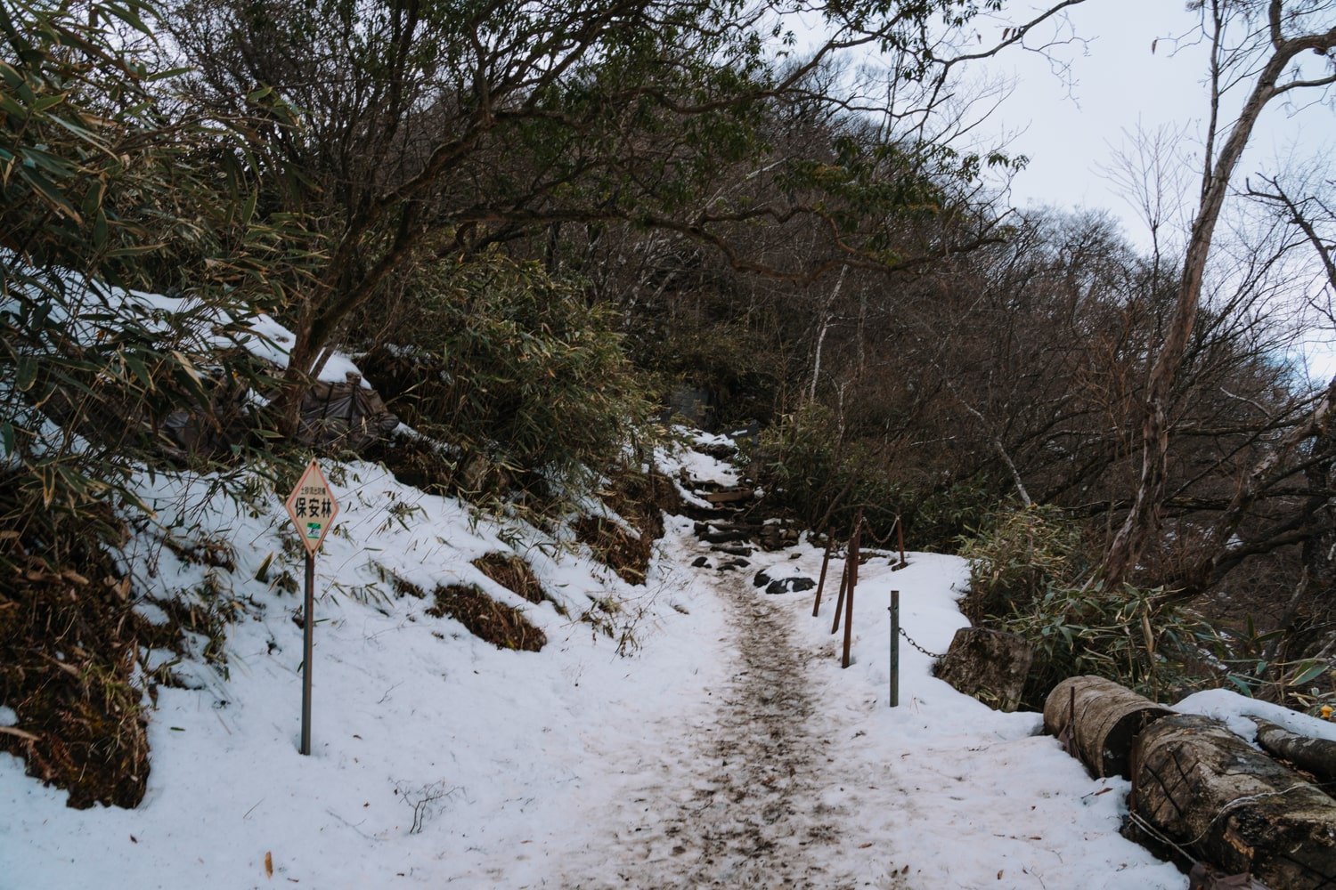 A muddy, snowy hiking trail leads up to the summit of the Mount Kintoki hike in Hakone, Japan.